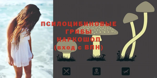 соль ск Алзамай